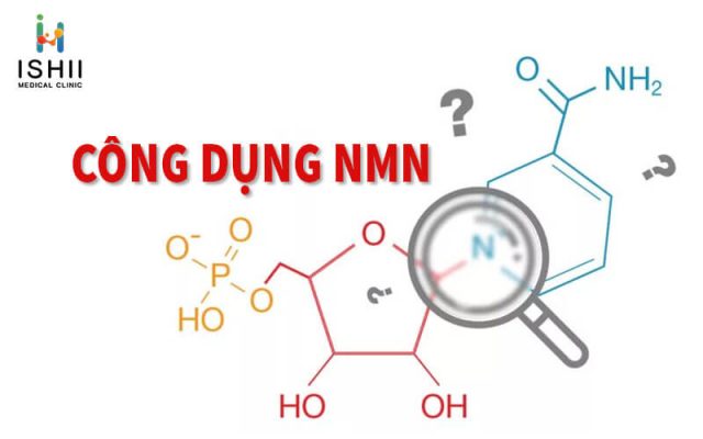 Công dụng NMN