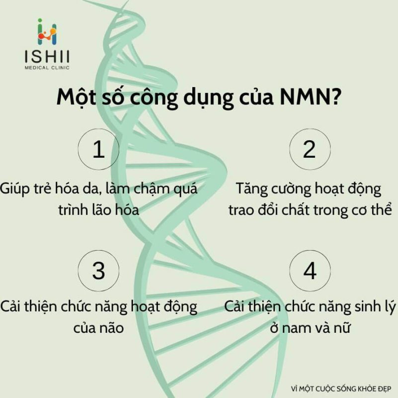 Tác dụng của NMN