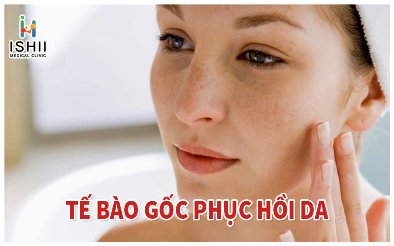 Tế bào gốc phục hồi da