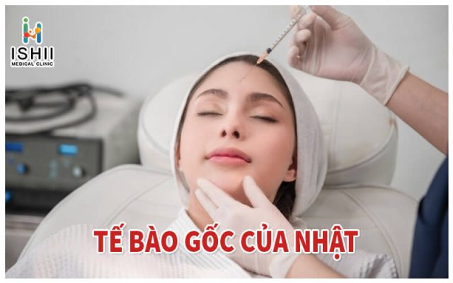 Tế bào gốc của Nhật