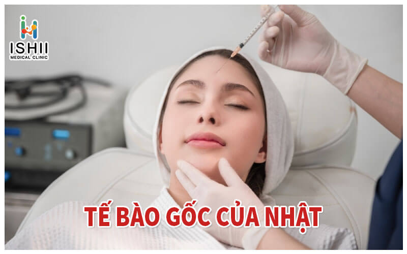 Phương pháp tiêm tế bào gốc Nhật Bản