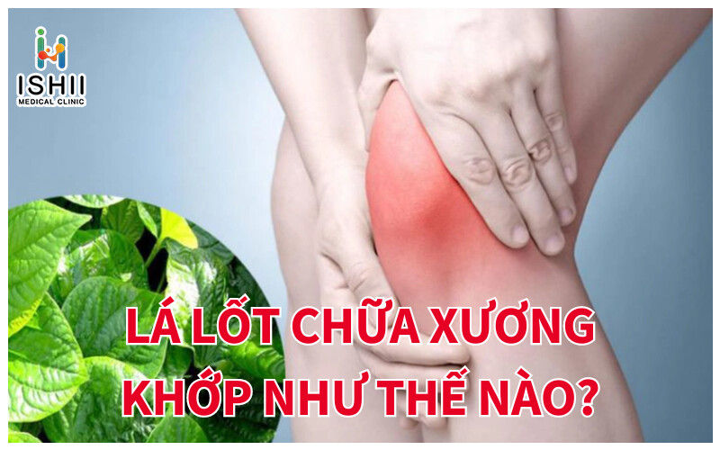 Lá lốt chữa xương khớp như thế nào?